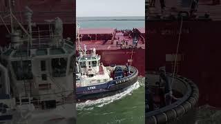 Tugboat in action #shorts