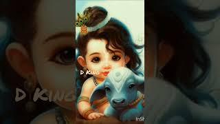 #Jay Dwarikadhish#janmashtamispecial#by JB Digital (Dabhi)