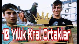 10 Yıllık Kral Ortaklar. Oğuz ve Gürkan Kuşçu Ortaklar. Sultanbeyli Taklacı Güvercin Kümesleri