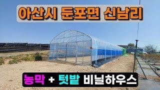 농막 + 텃밭 비닐하우스 (아산시 둔포면 신남리) farmer's hut & crop cultivation vinyl house