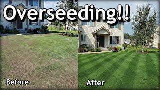 How To OVERSEED Your Lawn in SPRING // Complete Step by Step Guide