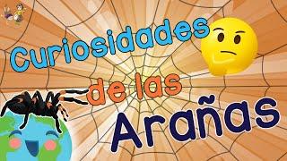 Curiosidades de las Arañas: Cuántas patas tiene una araña? (Videos Educativos para Niños)