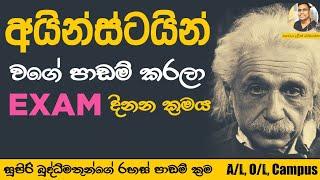 How to Study Like Albert Einstein | Study Tips in Sinhala | Higher Education Srilanka @dr.duleen