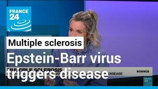 Multiple sclerosis: Study finds Epstein-Barr virus triggers autoimmune disease • FRANCE 24 English