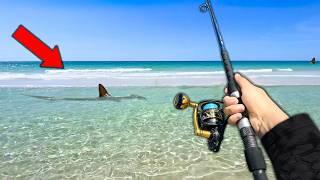 Fishing the Most SHARK INFESTED Beach in the World (Surprise Catch!)