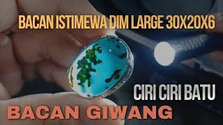 CIRI CIRI BATU BACAN GIWANG | BACAN DOKO COKLAT GIWANG DIM LARGE 30X20X6