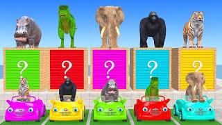 Cow, Elephant, Tiger, Gorilla, T-Rex Guess The Right Door ESCAPE ROOM CHALLENGE Animals Cage Game