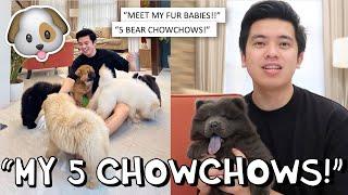 "MEET MY 5 CHOWCHOWS!!"  (ULAP, HEAVEN, GABBI, ALAB & STORMI)  | Kimpoy Feliciano