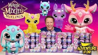 All 41 Magic Mixies Mixlings Including Limited Edition “Light Up Zarla” AdventureFun Toy review!