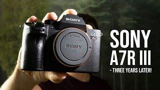 Is the SONY a7R3 still WORTH it for landscape photography?