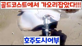 호주 도시어부!! 골드코스트 가오리낚시Gold Coast 2017 Oct Catching Small Stingray with gopro hero 5