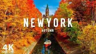 Autumn in New York City (4K UHD) -  Stunning Fall Foliage, Iconic Landmarks, and Vibrant Cityscapes