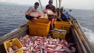 Pesta strike kapmer bantal!