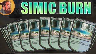 Burn, but Simic | $30 Budget Magic | Standard