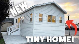  Ultimate ADU Tour  New Tiny Home/ADU tour!