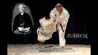 Shotokan Karate Online Membership Website