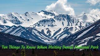 Top 10 Things to Know When Visiting Denali National Park