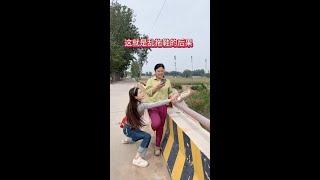 #Quick Growth Plan #Shadow Play演绎Future Star #Sister Qing loves to joke