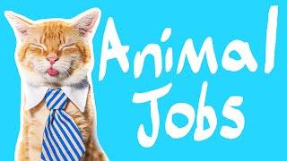 14 Animals With Jobs | Animals who work for a living!