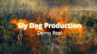 Sly Dog Production OFFICIAL 2019 Demo Reel Montana Video Production