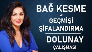 DOLUNAY çalışması -BAĞ KESME-Çalışması  (Kişiye özel kodlama teknikleri burada verilmemiştir)