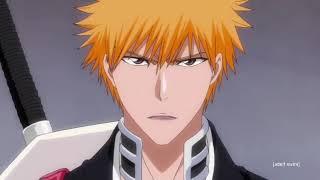 Ichigo plans to be a Soul Reaper