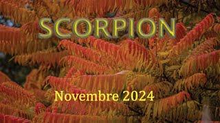 SCORPION - Novembre 2024 ~ Le petit bouquet de fleurs !