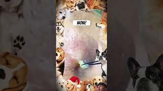 #games #funny #gaming #cat #music #slowedandreverb #aesthetic #sound #rain #cute