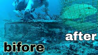 cara dan tempat strategis pemasangan perangkap ikan . auto dapat ikan termahal.| diving fish trap