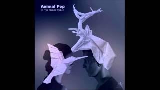 Animal Pop- Beijing Haze