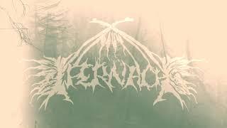 Ifernach - Métal Sauvage Gaspésien