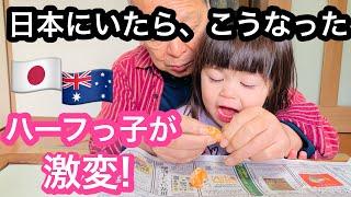 【日本一時帰国】日本にいたら子供達がこうなったオーストラリア育ちのハーフっ子の子供達の日本語がめちゃくちゃ伸びた&子供達が激変&ダイソーとミスドで大興奮2024年12月日本一時帰国Part3