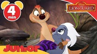 The Lion Guard | The Search for Utamu | Disney Junior UK