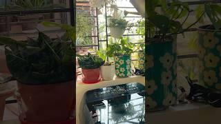I started Romanticising my chores to keep up with housework. #shortvideo #shorts #ytshorts #youtube