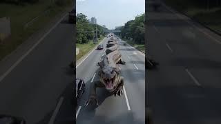 Giant Monster Crawling on Highway, Shocking Scene You Can't Miss!#GiantMonster #HighwayDisaster