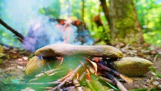 PRIMITIVE TECHNOLOGY - COOKING MEAT ON ROCK - AMAZING NATURE - RELAXING SOUNDS - ASMR