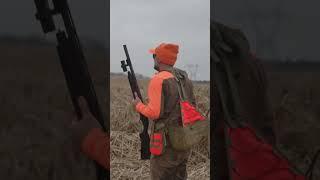 Tony's latest episode shows just how fun pheasant hunting with a good dog can be—don’t miss it!