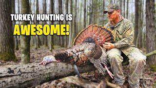 Another Exciting Turkey Hunt! - Turkey Hunting Eastern Gobblers