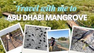 The Lush Mangroves of Abu Dhabi: A Nature Lover's Guide