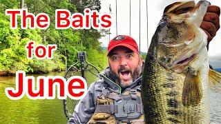 The Best Baits For June Bass Fishing