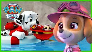 Oltre 1 ora di missioni di salvataggio di Skye e Rubble - PAW Patrol I cuccioli Episodi Italiano