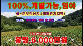 100%개발가능,임야1.225평,공시지가의,절반 값 정도, 계획관리지역,올~준보전산지,공가,1억1.300만원, 매매가,몽땅,6.000만원에 급 매매 합니다.도로접,경사도10도~15