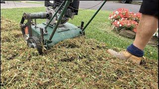 Can you scarify / dethatch a Sir Walter Buffalo / St Augustine lawn?