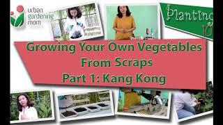 Planting 101: Growing your own vegetable from scraps, part 1 Kaang Kong