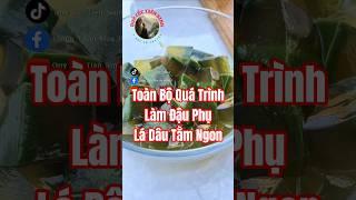 Toàn bộ quá trình làm Đậu Phụ Lá Dâu Tằm ngon vào đầu mùa hè