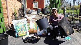 How I grow potatoes in containers