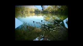 Carp season 2012: Croatia, lake Ontario & Kocka (Piskor) and Plavac (Savica)