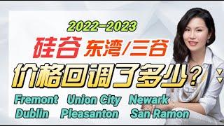 2022年房价到底下降了多少？东湾和三谷地区房地产历史数据大公开！最新硅房地产数据分析