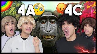 4A und 4C im ZOO | Welche Klasse ist besser?  (BEST OF) | Mohi__07