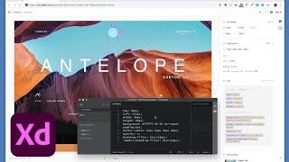 디자인 사양의 CSS 조각 – Adobe XD 2019년 8월 릴리스 | 어도비 크리에이티브 클라우드